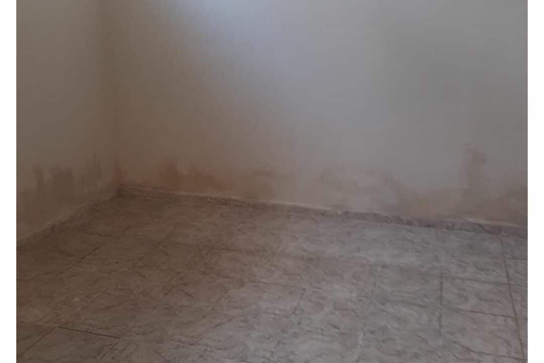 00515 - CASA NO FERTIZA (1)