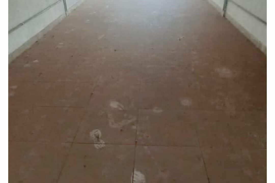00136-Loja 2-Santa Rita (3)
