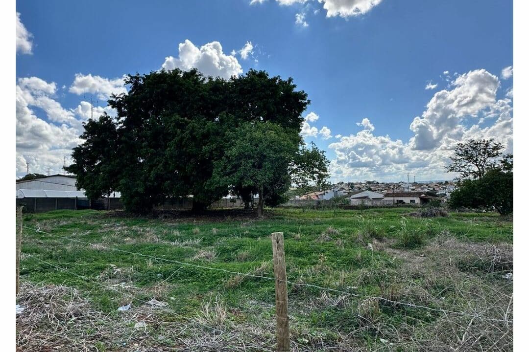 00383 - TERRENO NO FERTIZA (1)