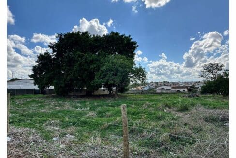 00383 - TERRENO NO FERTIZA (1)