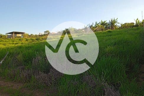 Imagem do WhatsApp de 2025-03-14 à(s) 15.50.10_44971316