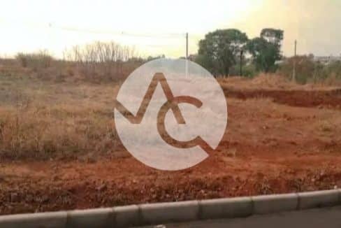 Imagem do WhatsApp de 2025-03-26 à(s) 11.05.02_2c992376