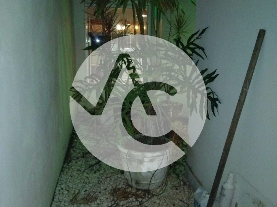 IMG-20250402-WA0028