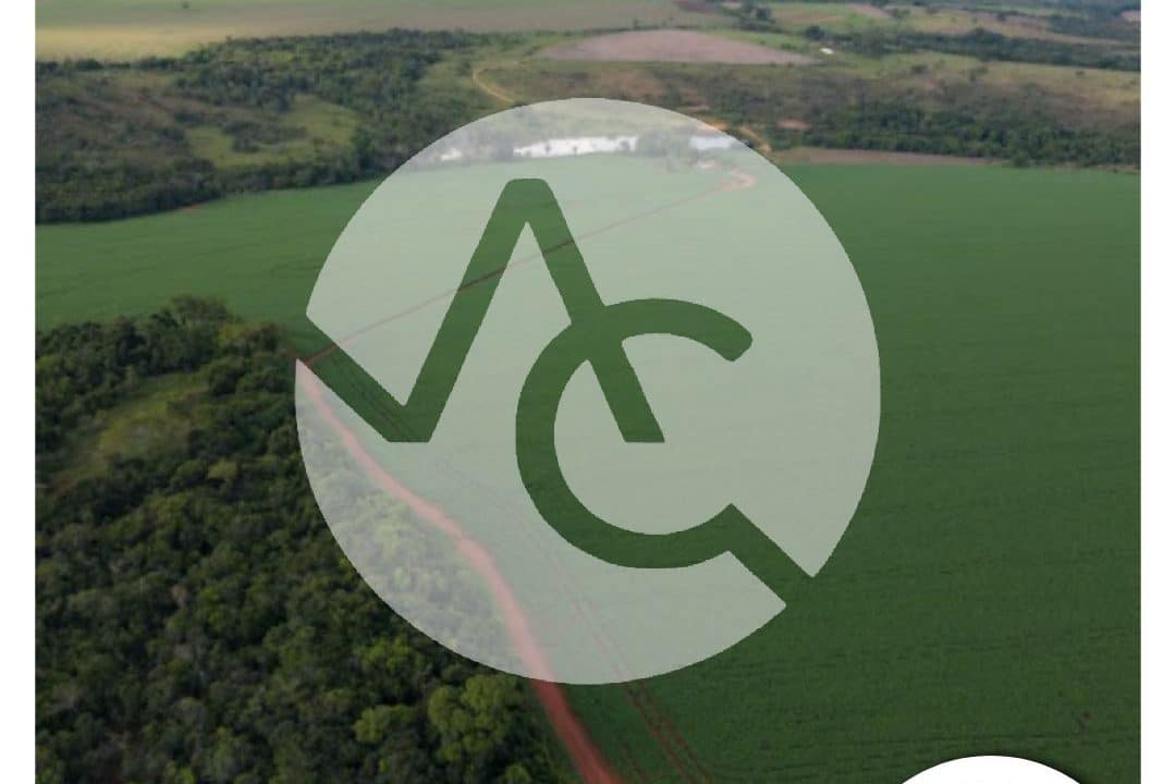 00819 - Fazenda em Perdizes (1)