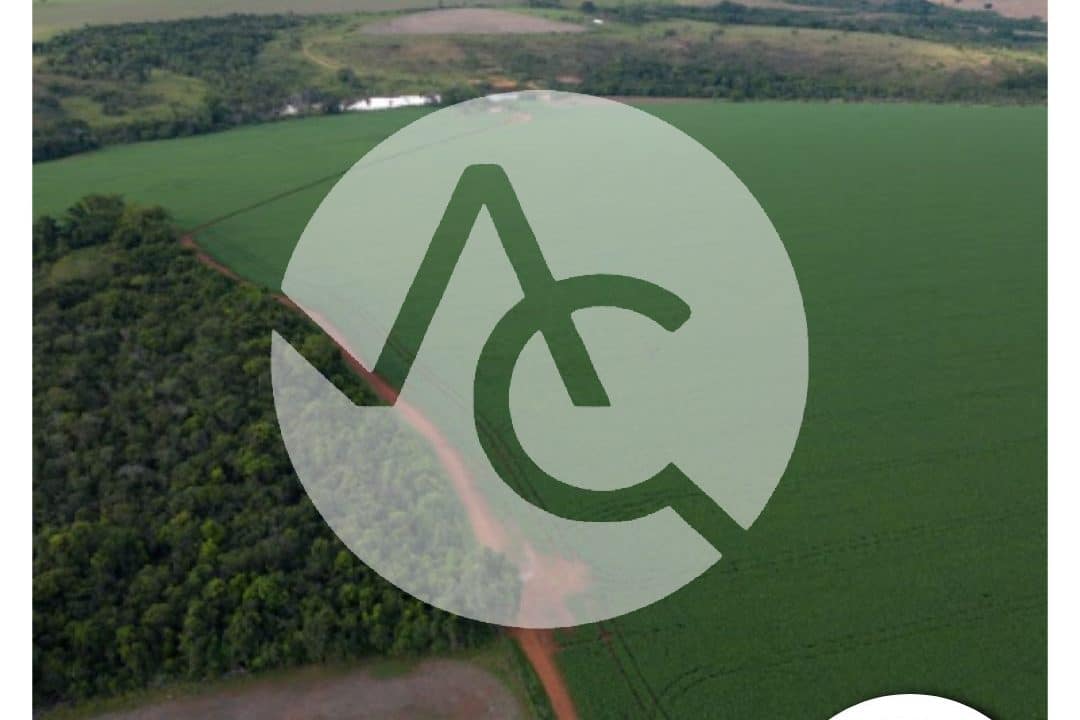 00819 - Fazenda em Perdizes