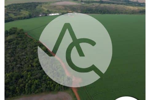 00819 - Fazenda em Perdizes