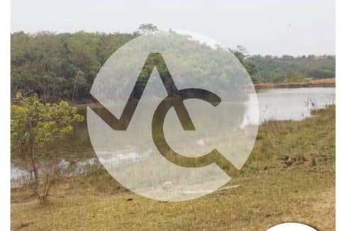 00819 - Fazenda em Perdizes (5)