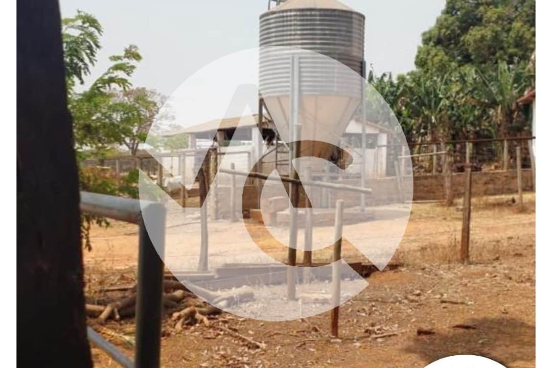 00819 - Fazenda em Perdizes (7)